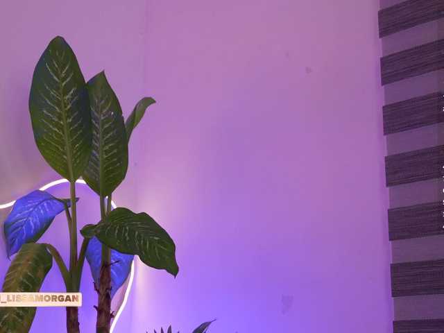 LissaMorgann's BongaCams show and profile