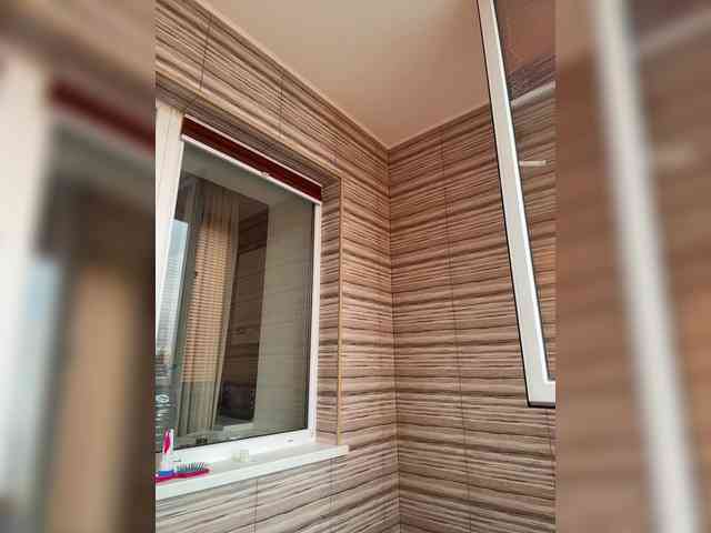 alizii webcam