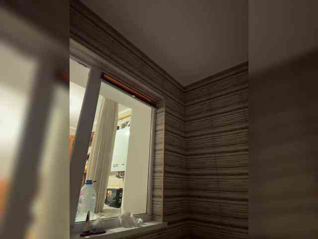 alizii webcam