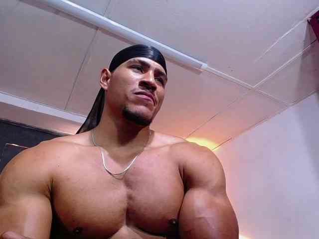 teddyfit19cm teddyfit19cm