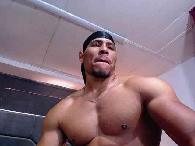 teddyfit19cm teddyfit19cm