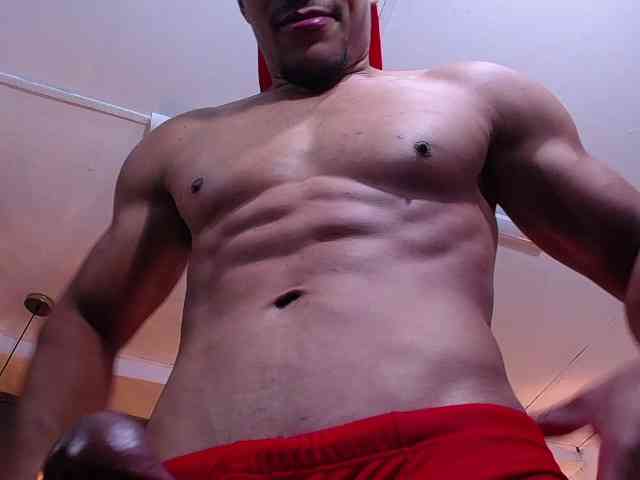 teddyfit19cm