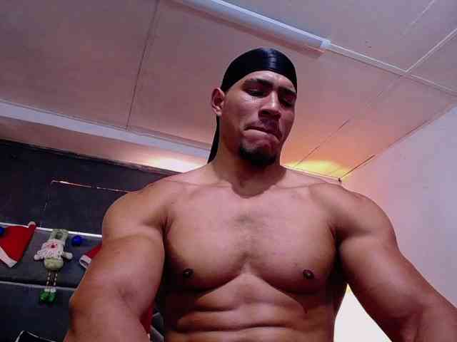 teddyfit19cm teddyfit19cm