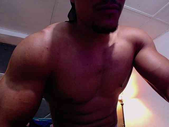 teddyfit19cm teddyfit19cm