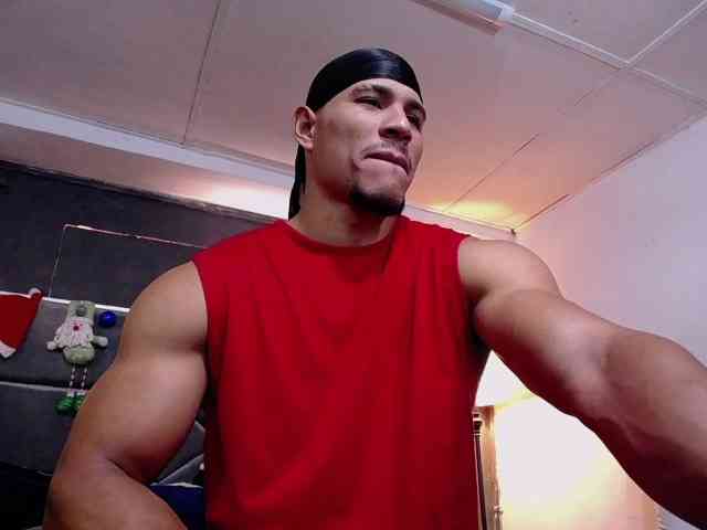 teddyfit19cm teddyfit19cm