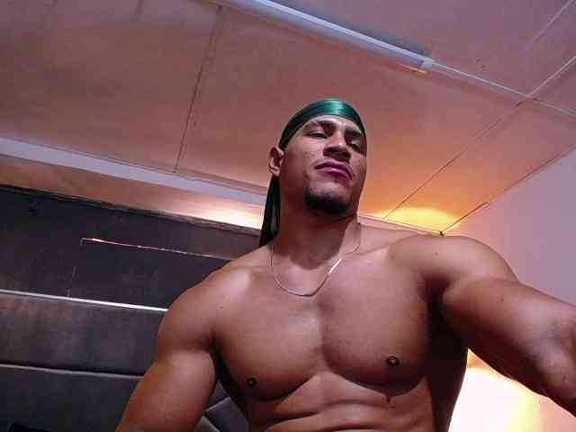 teddyfit19cm teddyfit19cm