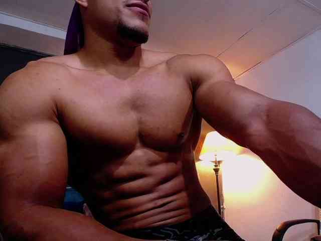 teddyfit19cm teddyfit19cm