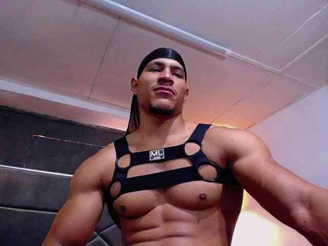 teddyfit19cm teddyfit19cm