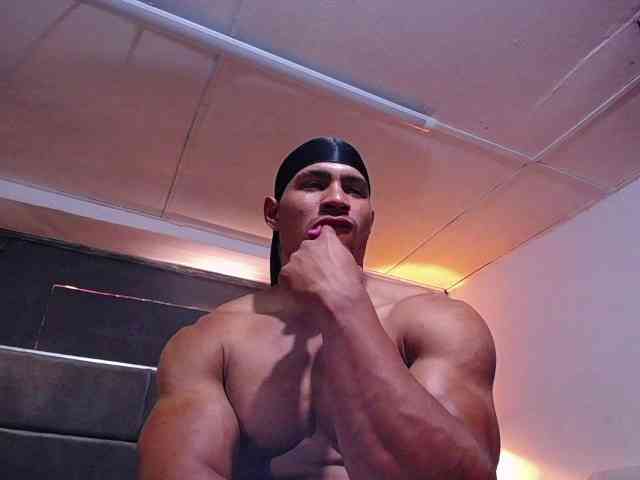 teddyfit19cm teddyfit19cm