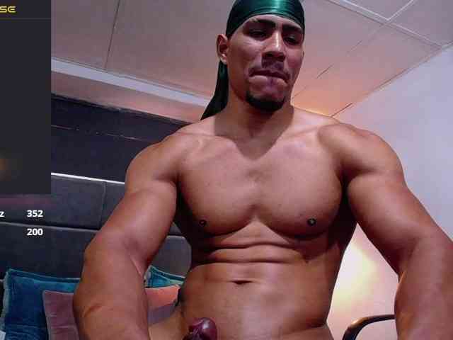 teddyfit19cm teddyfit19cm