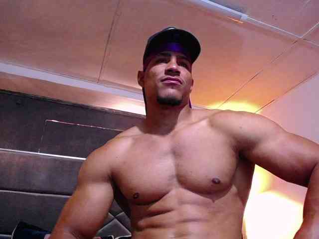 teddyfit19cm teddyfit19cm