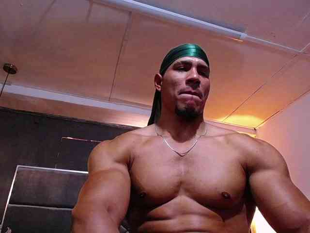 teddyfit19cm teddyfit19cm