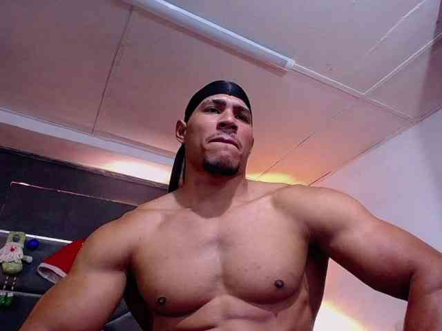 teddyfit19cm teddyfit19cm