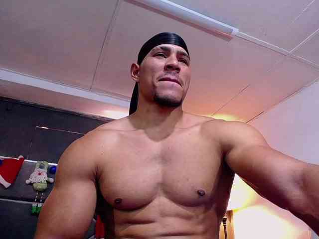 teddyfit19cm teddyfit19cm