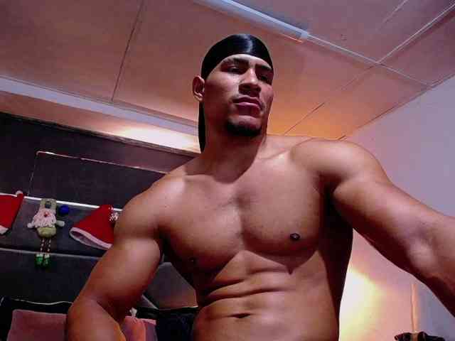 teddyfit19cm teddyfit19cm