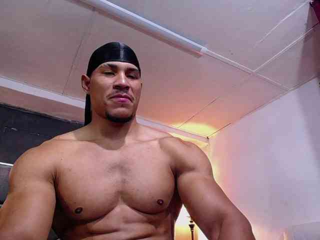 teddyfit19cm teddyfit19cm