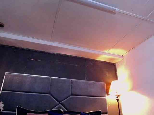 teddyfit19cm teddyfit19cm