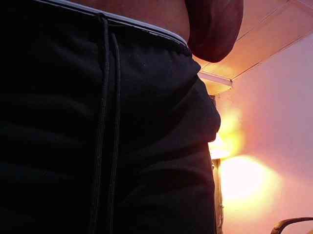 teddyfit19cm teddyfit19cm