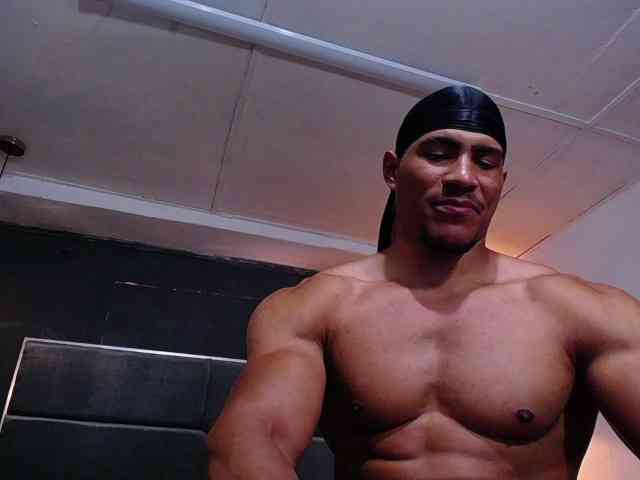 teddyfit19cm teddyfit19cm