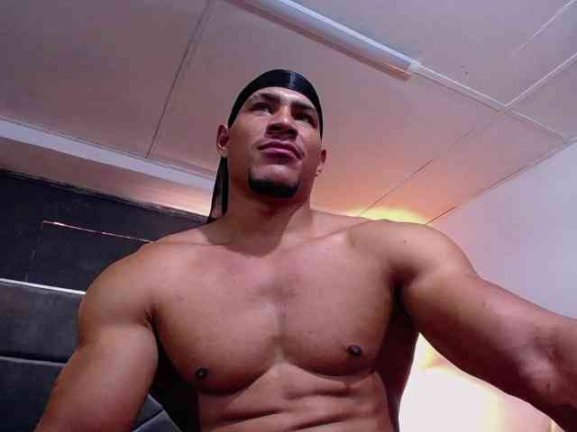 teddyfit19cm teddyfit19cm