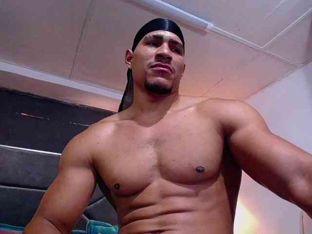 teddyfit19cm teddyfit19cm