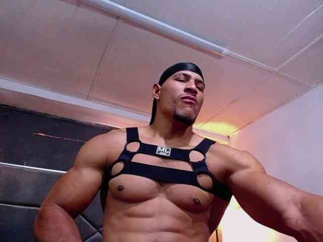 teddyfit19cm teddyfit19cm