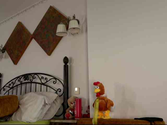 einneuesleben webcam