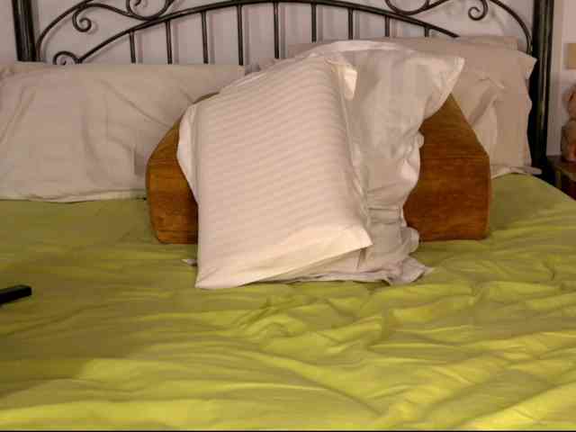 einneuesleben webcam