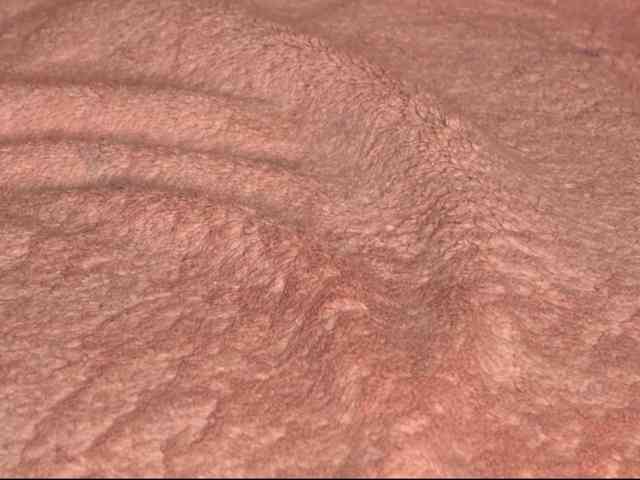 einneuesleben webcam