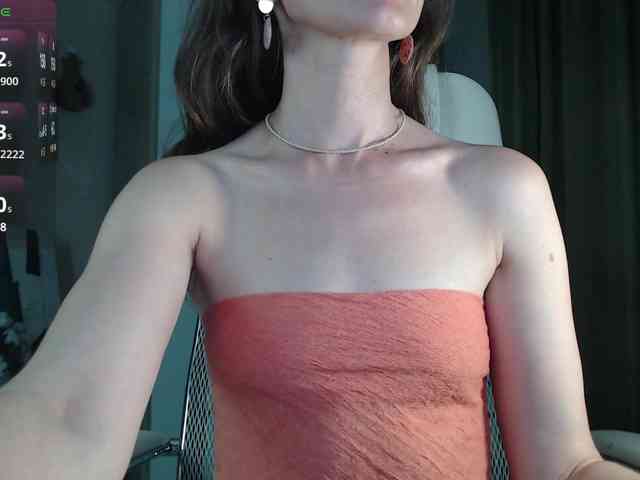 _Neva_ webcam