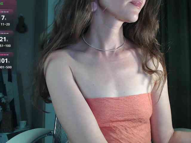 _Neva_ webcam