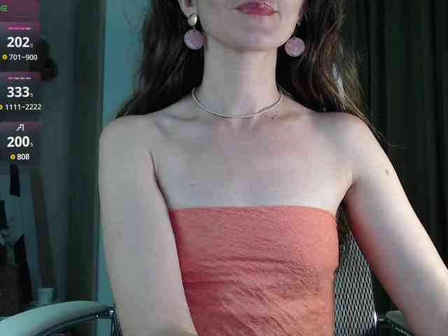 _Neva_ webcam