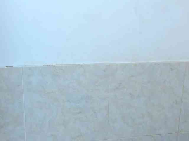 aira-anahy webcam