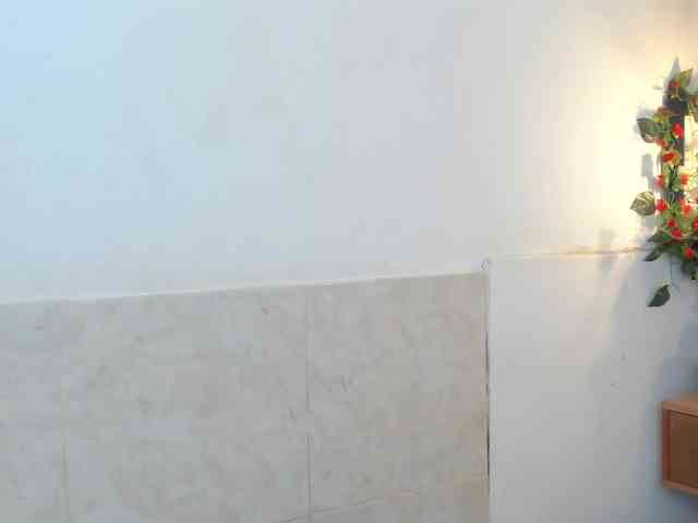 aira-anahy webcam