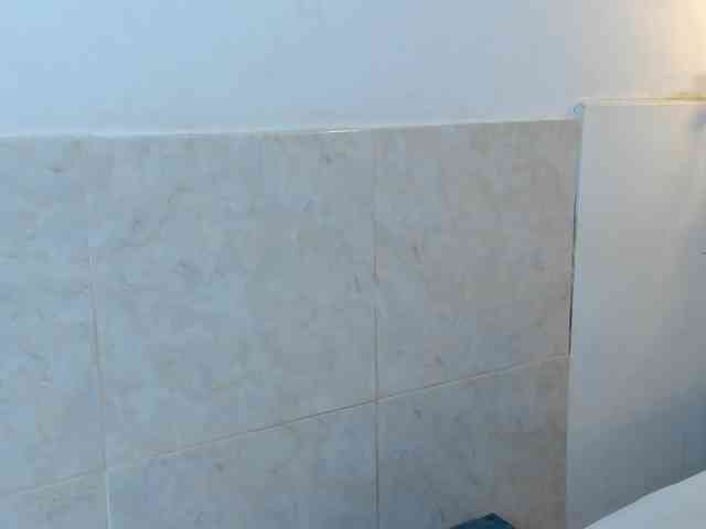 aira-anahy webcam