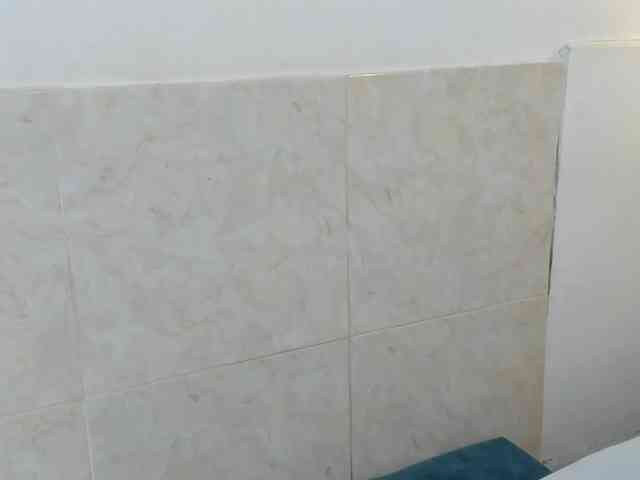 aira-anahy webcam