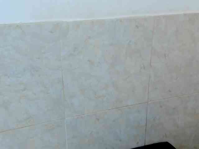 aira-anahy webcam