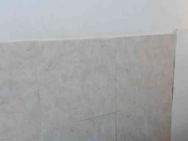 aira-anahy webcam