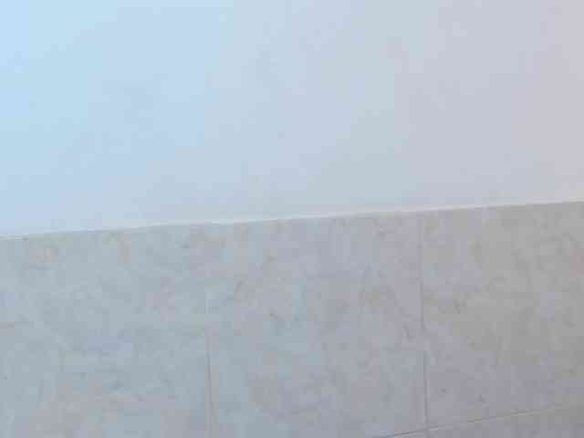 aira-anahy webcam