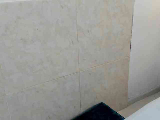aira-anahy webcam