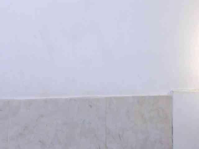 aira-anahy webcam