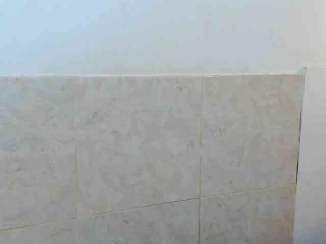 aira-anahy webcam