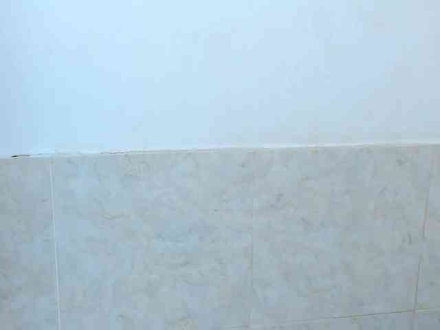 aira-anahy webcam