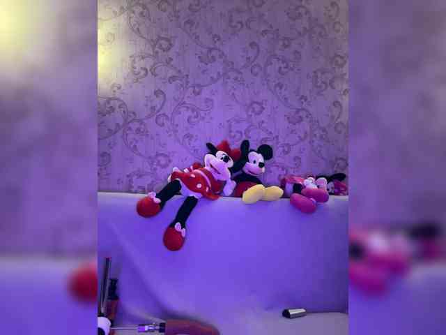 Flipflapsolo webcam