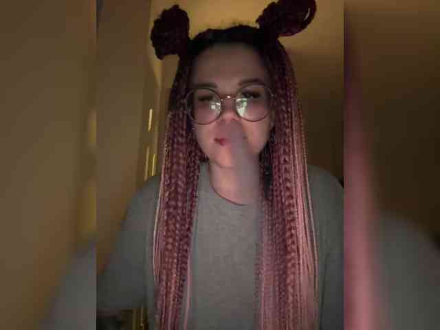 Flipflapsolo webcam