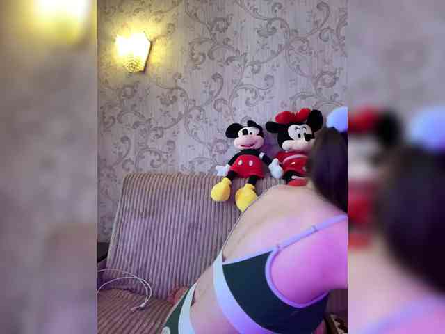 Flipflapsolo webcam