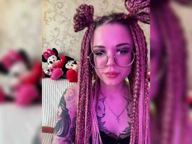 Flipflapsolo webcam