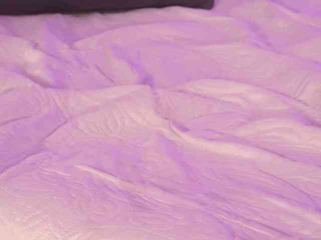 LillyThomps LillyThomps