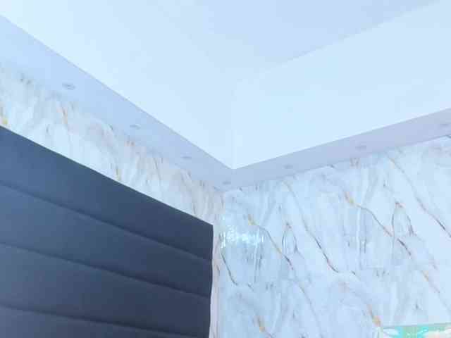 -Genesis- webcam