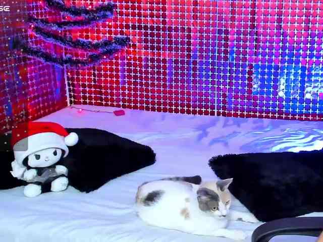 Salome-sweet Salome-sweet